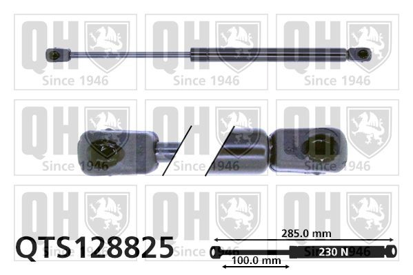 Amortiguador de porton para Ford Escort VII ALL